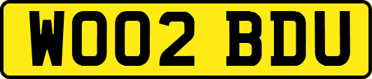 WO02BDU