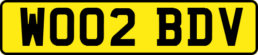 WO02BDV
