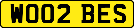 WO02BES