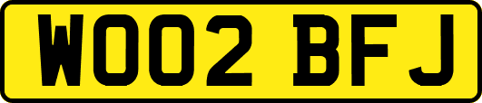 WO02BFJ