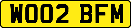 WO02BFM