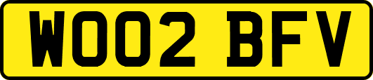 WO02BFV
