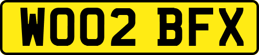 WO02BFX