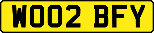 WO02BFY