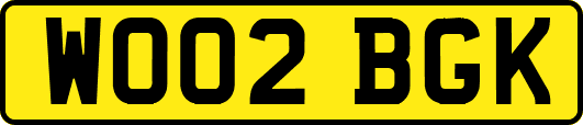 WO02BGK