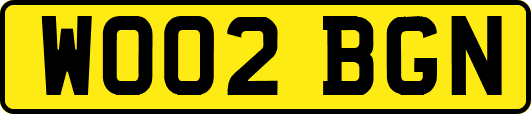 WO02BGN