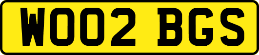 WO02BGS