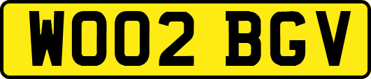 WO02BGV