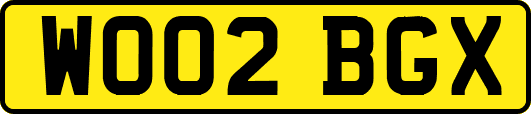 WO02BGX