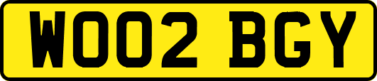 WO02BGY