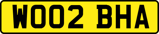 WO02BHA