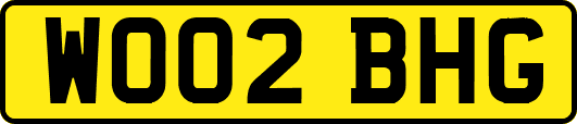 WO02BHG