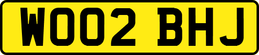 WO02BHJ