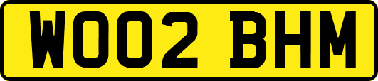 WO02BHM