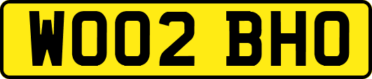 WO02BHO