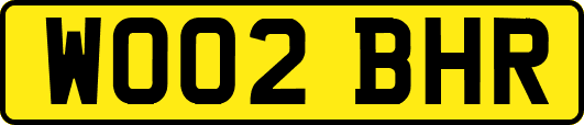 WO02BHR