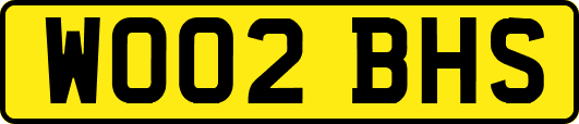 WO02BHS