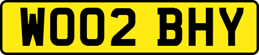 WO02BHY