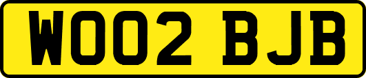 WO02BJB