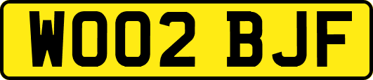 WO02BJF