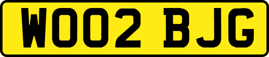 WO02BJG