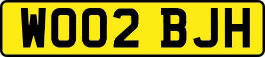 WO02BJH
