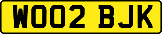 WO02BJK