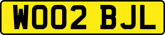 WO02BJL