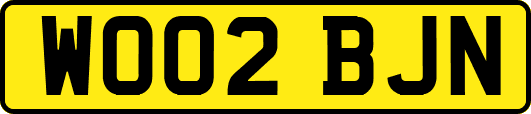 WO02BJN