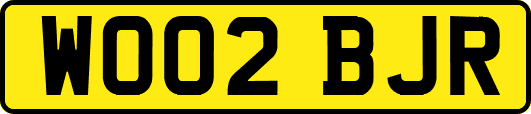 WO02BJR