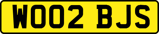 WO02BJS