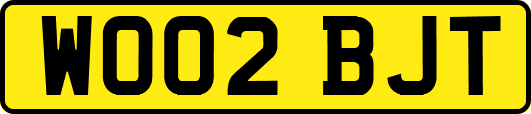 WO02BJT