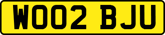 WO02BJU