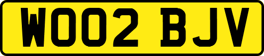 WO02BJV