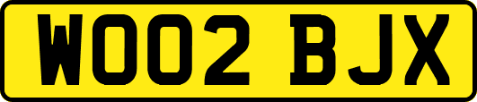 WO02BJX