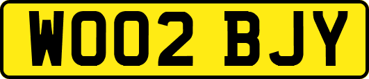 WO02BJY