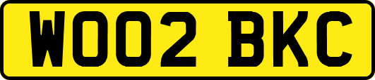 WO02BKC