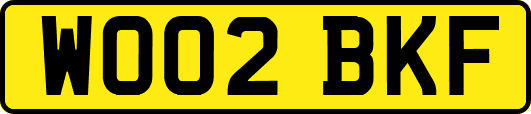 WO02BKF