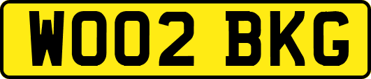 WO02BKG