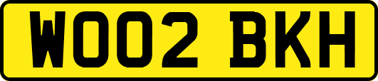 WO02BKH