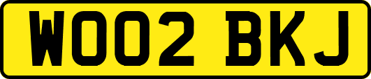 WO02BKJ