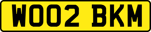 WO02BKM