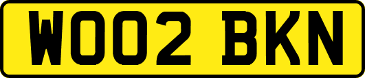 WO02BKN