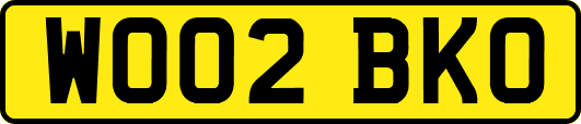 WO02BKO