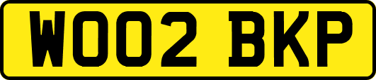 WO02BKP