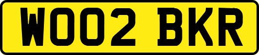 WO02BKR