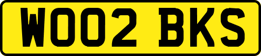 WO02BKS