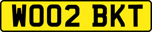 WO02BKT