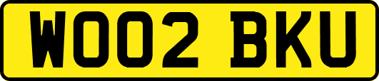 WO02BKU