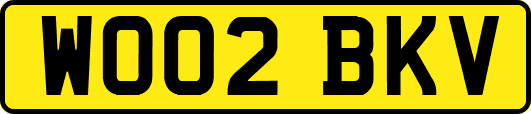WO02BKV